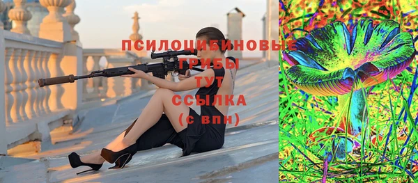 сатива Алексеевка