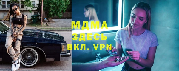 индика Шадринск