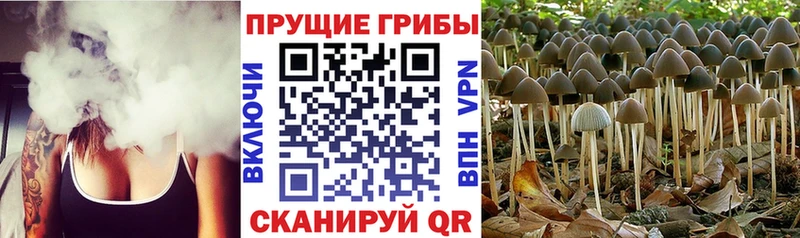 Галлюциногенные грибы Magic Shrooms  купить наркотики сайты  Харовск 