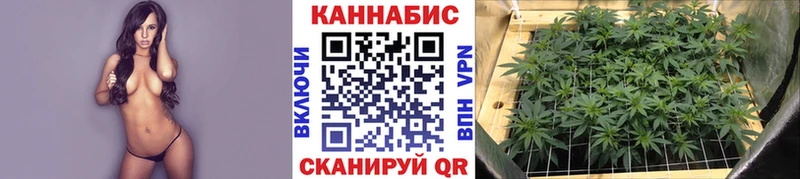 купить наркотики сайты Харовск МАРИХУАНА марихуана